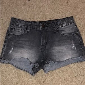 Hudson Zebra Shorts